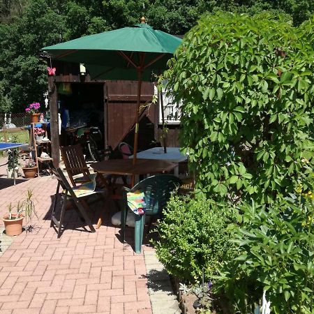 Ferienwohnung Am Wald Tharandt Dış mekan fotoğraf